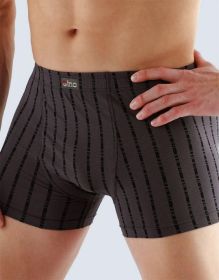 GINA pánské boxerky s delší nohavičkou, delší nohavička, šité, s potiskem  74026P | hořec 46/48