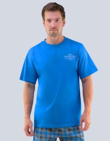 GINA pánské tričko s krátkým rukávem pánské, krátký rukáv, šité, s potiskem  79460P | atlantic L, šedá XXL