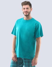 GINA pánské tričko s krátkým rukávem pánské, krátký rukáv, šité  79514P | šalvěj S, šalvěj XL