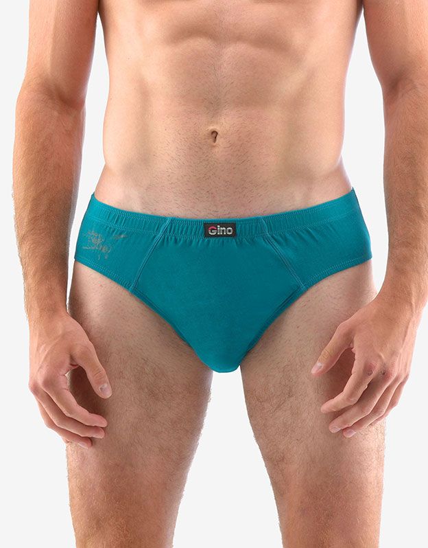 GINA pánské slipy s úzkým bokem, úzký bok, šité, s potiskem 70066P GINA pánské slipy s úzkým bokem, úzký bok, šité, s potiskem 70066P