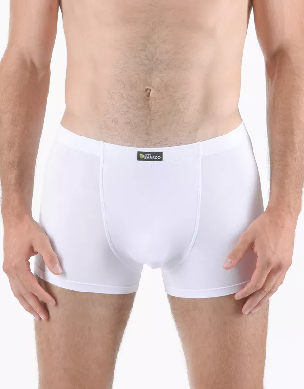 GINA pánské boxerky s kratší nohavičkou, kratší nohavička, šité, jednobarevné Eco Bamboo 73125P