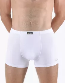 GINA pánské boxerky s kratší nohavičkou, kratší nohavička, šité, s potiskem Eco Bamboo 73129P