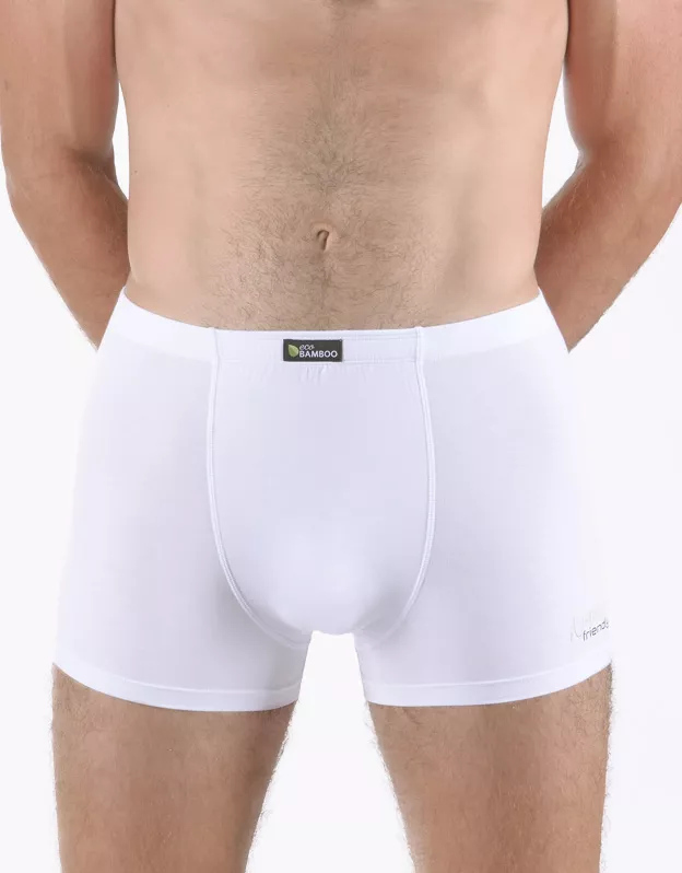 GINA pánské boxerky s kratší nohavičkou, kratší nohavička, šité, s potiskem Eco Bamboo 73129P