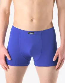 GINA pánské boxerky s kratší nohavičkou, kratší nohavička, šité, jednobarevné Eco Bamboo 73125P