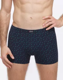 GINA pánské boxerky kratší nohavička, šité, s potiskem 73137P GINA pánské boxerky kratší nohavička, šité, s potiskem 73137P