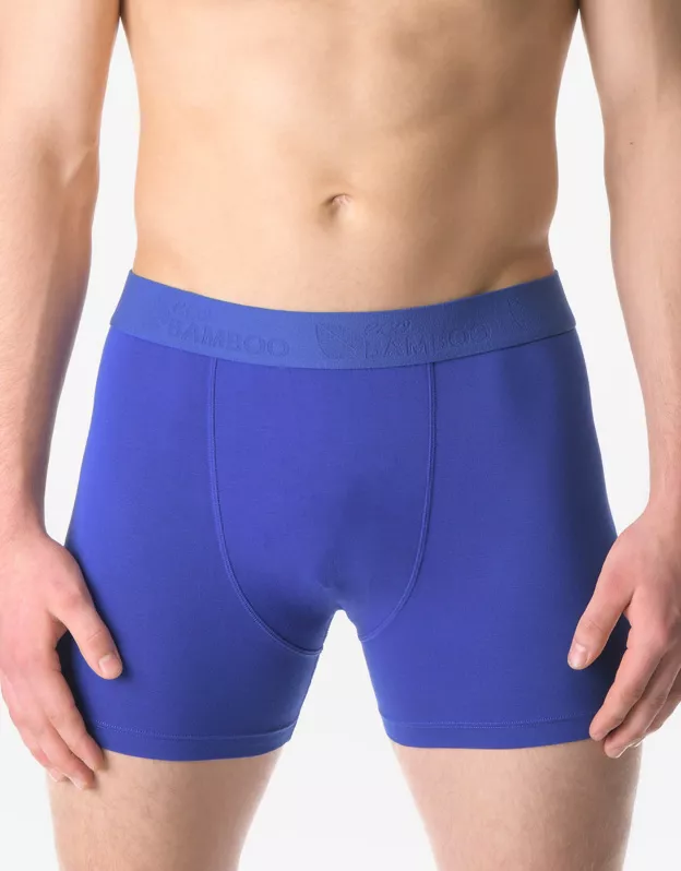 GINA pánské boxerky s delší nohavičkou, delší nohavička, šité, jednobarevné Eco Bamboo 74160P