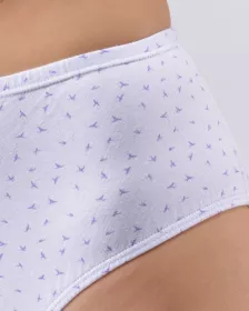 GINA dámské kalhotky klasické ve větších velikostech, větší velikosti, šité, s potiskem 11093P