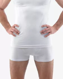 GINA pánské boxerky s kratší nohavičkou, kratší nohavička, bezešvé, jednobarevné Bamboo PureLine 53004P GINA pánské boxerky s kratší nohavičkou, kratší nohavička, bezešvé, jednobarevné Bamboo PureLine 53004P