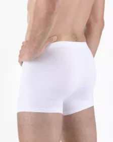 GINA pánské boxerky s kratší nohavičkou, kratší nohavička, šité, jednobarevné Eco Bamboo 73125P EcoBamboo