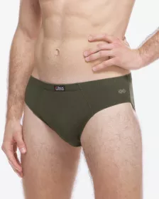 GINA pánské slipy nadměrné, šité, s potiskem  71138P | Lahvová/Šedozelená 3XL/4XL, Lahvová/Šedozelená XXL/3XL, Tm. šedá/Šedohnědá 3XL/4XL, Tm. šedá/Šedohnědá XXL/3XL