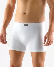GINA pánské boxerky s delší nohavičkou, delší nohavička, šité, jednobarevné 74086P GINA pánské boxerky s delší nohavičkou, delší nohavička, šité, jednobarevné 74086P
