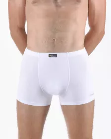 GINA pánské boxerky s kratší nohavičkou, kratší nohavička, šité, s potiskem Eco Bamboo 73129P EcoBamboo GINA pánské boxerky s kratší nohavičkou, kratší nohavička, šité, s potiskem Eco Bamboo 73129P EcoBamboo