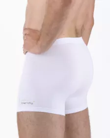 GINA pánské boxerky s kratší nohavičkou, kratší nohavička, šité, s potiskem Eco Bamboo 73129P EcoBamboo GINA pánské boxerky s kratší nohavičkou, kratší nohavička, šité, s potiskem Eco Bamboo 73129P EcoBamboo