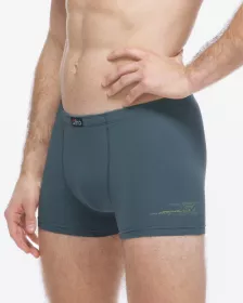 GINA pánské boxerky kratší nohavička, šité, s potiskem 73134P GINA pánské boxerky kratší nohavička, šité, s potiskem 73134P