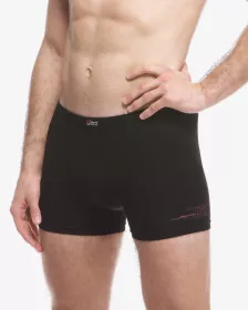 GINA pánské boxerky kratší nohavička, šité, s potiskem 73134P GINA pánské boxerky kratší nohavička, šité, s potiskem 73134P