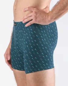 GINA pánské boxerky s delší nohavičkou, delší nohavička, šité, s potiskem 74171P