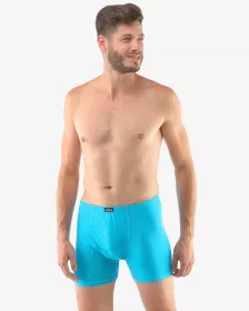 GINA pánské boxerky s delší nohavičkou, nadměrné, šité, s potiskem 74138P GINA pánské boxerky s delší nohavičkou, nadměrné, šité, s potiskem 74138P