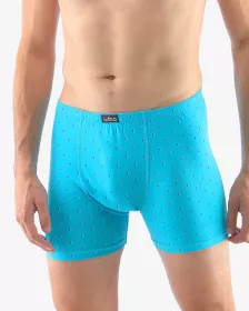 GINA pánské boxerky s delší nohavičkou, nadměrné, šité, s potiskem 74138P GINA pánské boxerky s delší nohavičkou, nadměrné, šité, s potiskem 74138P