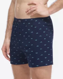 GINA pánské trenky volné, šité, s potiskem 75216P