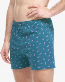 GINA pánské trenky volné, šité, s potiskem 75217P