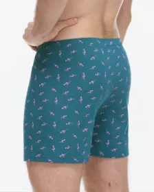 GINA pánské trenky volné, šité, s potiskem 75217P